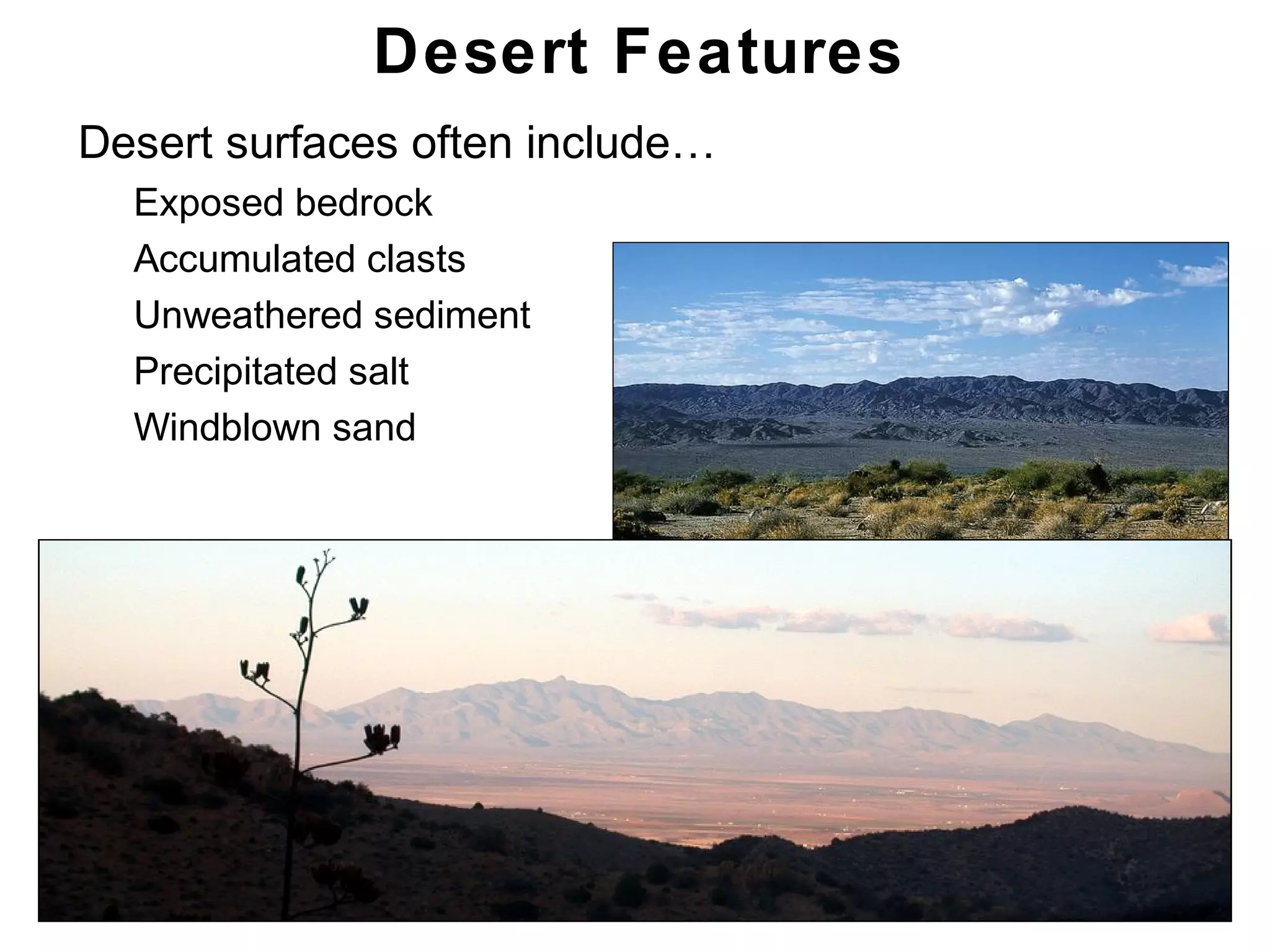 Chapter 21
Desert Features
• Desert surfaces often include…
• Exposed bedrock
• Accumulated clasts
• Unweathered sediment
• Precipitated salt
• Windblown sand
 
