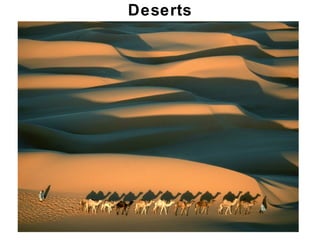 Chapter 21
Deserts
 