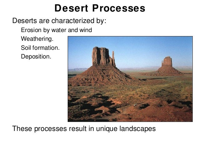 19 deserts forstudents