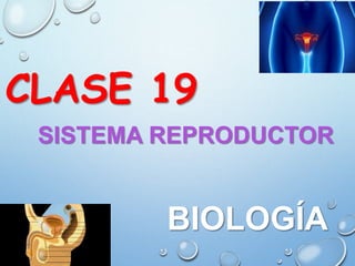 SISTEMA REPRODUCTOR
CLASE 19
BIOLOGÍA
 