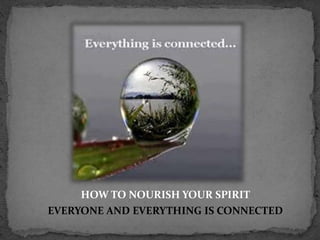 HOW TO NOURISH YOUR SPIRIT
EVERYONE AND EVERYTHING IS CONNECTED
 