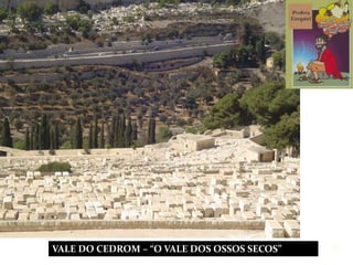 VALE DO CEDROM – “O VALE DOS OSSOS SECOS” 21
 