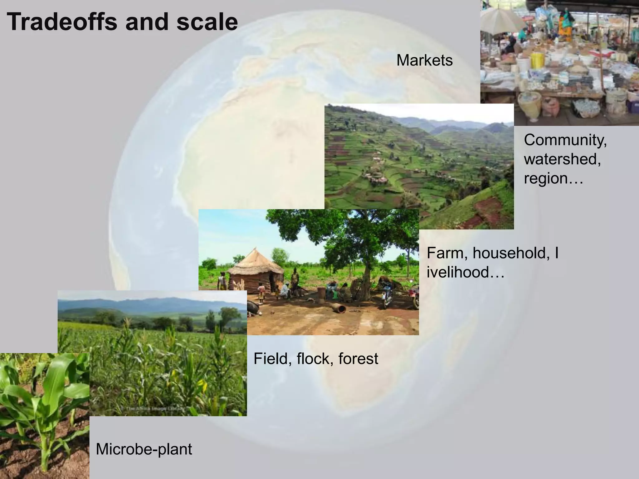 Tradeoffs and scale
                                              Markets



                                                              Community,
                                                              watershed,
                                                              region…


                              Markets
                                                 Farm, household, l
                                                 ivelihood…




                       Field, flock, forest




       Microbe-plant
 