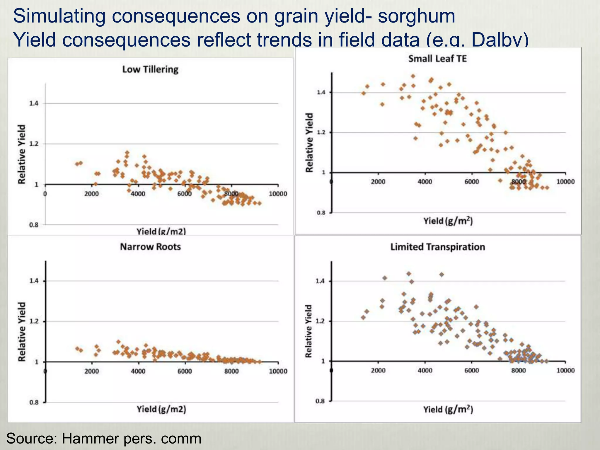 Simulating consequences on grain yield- sorghum
Yield consequences reflect trends in field data (e.g. Dalby)




Source: Hammer pers. comm
 