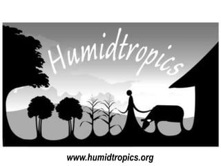 www.humidtropics.org
 