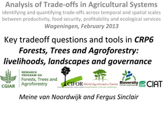 Analysis of Trade-offs in Agricultural Systems
Identifying and quantifying trade-offs across temporal and spatial scales
between productivity, food security, profitability and ecological services
                   Wageningen, February 2013

Key tradeoff questions and tools in CRP6
     Forests, Trees and Agroforestry:
livelihoods, landscapes and governance


       Meine van Noordwijk and Fergus Sinclair
 