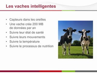 Les vaches intelligentes
• Capteurs dans les oreilles
• Une vache crée 200 MB
de données par an
• Suivre leur état de santé
• Suivre leurs mouvements
• Suivre la température
• Suivre le processus de nutrition

 