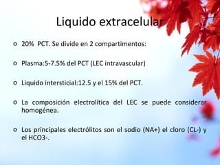 Liquido extracelular
o 20% PCT. Se divide en 2 compartimentos:
o Plasma:5-7.5% del PCT (LEC intravascular)
o Liquido intersticial:12.5 y el 15% del PCT.
o La composición electrolítica del LEC se puede considerar
homogénea.
o Los principales electrólitos son el sodio (NA+) el cloro (CL-) y
el HCO3-.
 
