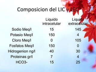 Composicion del LIC y LEC
Liquido
intracelular
Liquido
extracelular
Sodio Meq/l 15 145
Potasio Meq/l 150 4
Cloro Meq/l 0 105
Fosfatos Meq/l 150 0
Hidrogenion ng/l 40 30
Proteinas gr/l 7 4
HCO3- 15 25
 