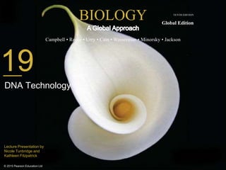 BIOLOGY
Campbell • Reece • Urry • Cain • Wasserman • Minorsky • Jackson
© 2015 Pearson Education Ltd
TENTH EDITION
Global Edition
Lecture Presentation by
Nicole Tunbridge and
Kathleen Fitzpatrick
19
DNA Technology
 