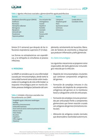 Protocolos • Glomerulonefritis aguda postinfecciosa
305
©Asociación Española de Pediatría. Prohibida la reproducción de los contenidos sin la autorización correspondiente.
Protocolos actualizados al año 2014. Consulte condiciones de uso y posibles nuevas actualizaciones en www.aeped.es/protocolos/
ISSN 2171-8172
táneas (3-5 semanas) que después de las in-
fecciones respiratorias superiores (7-15 días).
Las formas no estreptocócicas son esporádi-
cas, y la nefropatía es simultánea al proceso
infeccioso.
4. PATOGENIA
La GNAPI se considera que es una enfermedad
causada por inmunocomplejos, donde tanto la
inmunidad humoral como celular están involu-
cradas en la patogenia de esta enfermedad. La
respuesta inmunológica pone en marcha dis-
tintos procesos biológicos (activación del com-
plemento, reclutamiento de leucocitos, libera-
ción de factores de crecimiento y citoquinas)
que producen inflamación y daño glomerular.
4.1. Daño inmunológico
Los siguientes mecanismos se proponen como
responsables del daño glomerular inmunoló-
gico inducido por la infección:
•	Depósito de inmunocomplejos circulantes
que contienen componentes antigénicos
del germen.
•	Formación de complejos inmunes in situ
resultantes del depósito de componentes
antigénicos del germen en la membrana
basal y subsiguiente unión de anticuerpos.
•	Formación de complejos inmunes promovi-
dos por anticuerpos frente a componentes
glomerulares que tienen reacción cruzada
con antígenos del germen (mimetismo mo-
lecular).
•	Alteración de antígenos renales normales
que desencadena reactividad autoinmune.
Tabla 1. Agentes infecciosos asociados a glomerulonefritis aguda postinfecciosa
Bacterias Virus Parásitos Hongos
Estreptococo βhemolítico grupo A (SBHGA)
Estafilococo
Neumococo
Haemophilus influenzae
Meningococo
Mycoplasma
Salmonella tiphi
Pseudomonas
Treponema pallidum
Virus de Epstein-Barr
Citomegalovirus
Coxackie
Hepatitis B
Parotiditis
Sarampión
Varicela
Parvovirus B19
Rubeola
VIH
P. falciparum
Toxoplasma gondii
Filaria
Squistosoma mansoni
Leishmania
Echinococcus
Candida albicans
Coccidiodes immitis
Tabla 2. Entidades infecciosas asociadas mas
frecuentemente con GNAPI
• Amigdalitis aguda e infecciones nasofaríngeas
• Impétigo
• Neumonía y bronconeumonía
• Endocarditis bacteriana
• Shunt ventrículo-atrial o ventrículo-peritoneal infectado
• Absceso visceral
• Fiebre tifoidea
• Brucelosis
• Hepatitis B
• Sífilis congénita
• Paludismo
 