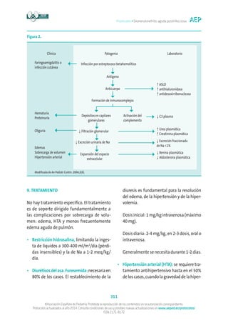 Protocolos • Glomerulonefritis aguda postinfecciosa
311
©Asociación Española de Pediatría. Prohibida la reproducción de los contenidos sin la autorización correspondiente.
Protocolos actualizados al año 2014. Consulte condiciones de uso y posibles nuevas actualizaciones en www.aeped.es/protocolos/
ISSN 2171-8172
9. TRATAMIENTO
No hay tratamiento específico. El tratamiento
es de soporte dirigido fundamentalmente a
las complicaciones por sobrecarga de volu-
men: edema, HTA y menos frecuentemente
edema agudo de pulmón.
•	Restricción hidrosalina, limitando la inges-
ta de líquidos a 300-400 ml/m2
/día (pérdi-
das insensibles) y la de Na a 1-2 meq/kg/
día.
•	Diuréticosdelasa.Furosemida:necesariaen
80% de los casos. El restablecimiento de la
diuresis es fundamental para la resolución
del edema, de la hipertensión y de la hiper-
volemia.
	Dosis inicial: 1 mg/kg intravenosa (máximo
40 mg).
	Dosis diaria: 2-4 mg/kg, en 2-3 dosis, oral o
intravenosa.
	Generalmente se necesita durante 1-2 días.
•	Hipertensión arterial (HTA): se requiere tra-
tamiento antihipertensivo hasta en el 50%
deloscasos,cuandolagravedaddelahiper-
Figura 2.
Clínica
Faringoamigdalitis o
infección cutánea
Hematuria
Proteinuria
Oliguria
Edemas
Sobrecarga de volumen
Hipertensión arterial
Infección por estreptococo betahemolítico
↑ ASLO
↑ antihialuronidasa
↑ antidesoxirribonucleasa
↑ Urea plasmática
↑ Creatinina plasmática
↓ C3 plasma
↓ Renina plasmática
↓ Aldosterona plasmática
↓ Filtración glomerular
↓ Excreción urinaria de Na ↓ Excreción fraccionada
de Na 1%
Antígeno
Depósitos en capilares
gomerulares
Expansión del espacio
extracelular
Activación del
complemento
Anticuerpo
Formación de inmunocomplejos
Patogenia Laboratorio
Modificada de An Pediatr Contin. 2004;2(4).
 
