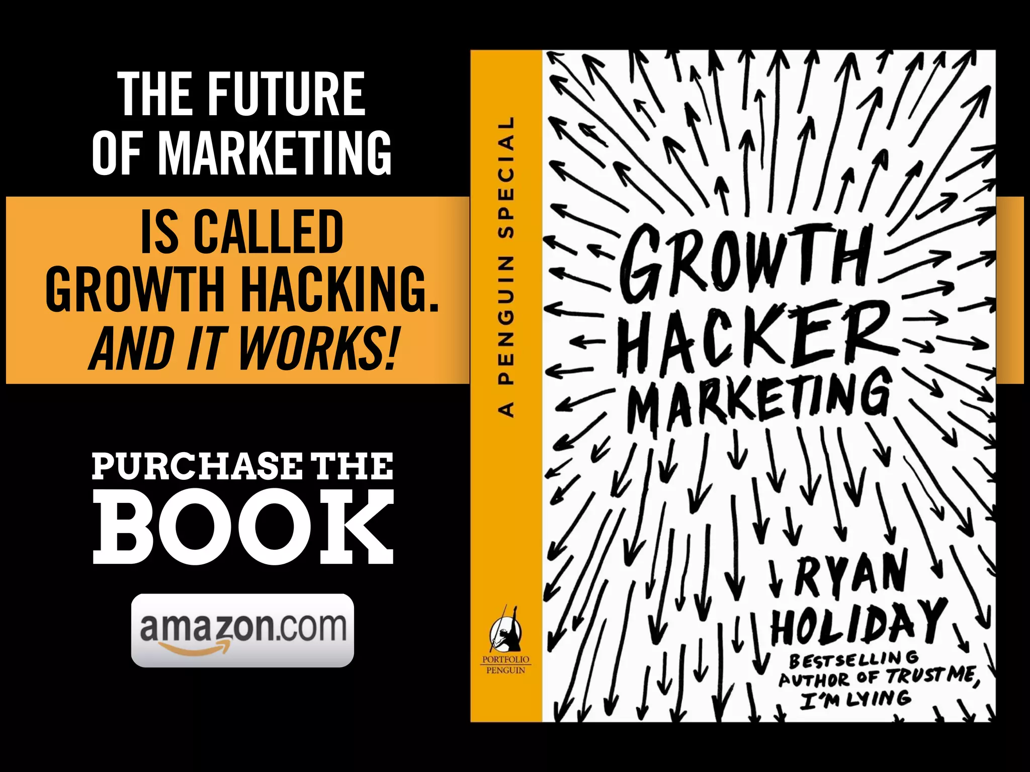 PURCHASE THE
BOOK
THE FUTURE
OF MARKETING
IS CALLED
GROWTH HACKING.
AND IT WORKS!
 