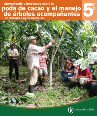 5G 
UÍA 
Aprendiendo e innovando sobre la 
poda de cacao y el manejo 
de árboles acompañantes 
en sistemas agroforestales 
 