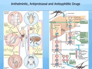 Anthelmintic, Antiprotozoal and Antisyphilitic Drugs
1
 