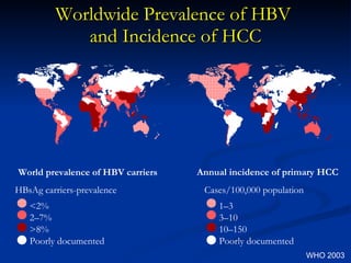 Worldwide Prevalence of HBV  and Incidence of HCC World prevalence of HBV carriers HBsAg carriers-prevalence <2% 2–7% >8% Poorly documented Annual incidence of primary HCC Cases/100,000 population 1–3 3–10 10–150 Poorly documented WHO 2003 