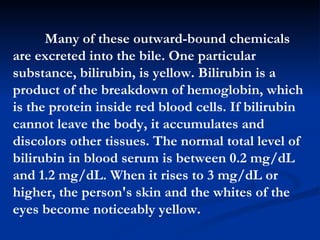 Many of these outward-bound chemicals are excreted into the bile. One particular substance, bilirubin, is yellow. Bilirubin is a product of the breakdown of hemoglobin, which is the protein inside red blood cells. If bilirubin cannot leave the body, it accumulates and discolors other tissues. The normal total level of bilirubin in blood serum is between 0.2 mg/dL and 1.2 mg/dL. When it rises to 3 mg/dL or higher, the person's skin and the whites of the eyes become noticeably yellow.  