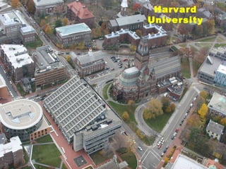 Harvard University 