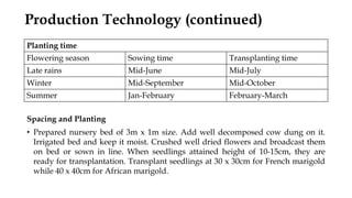 Production Technology (continued)
Spacing and Planting
• Prepared nursery bed of 3m x 1m size. Add well decomposed cow dung on it.
Irrigated bed and keep it moist. Crushed well dried flowers and broadcast them
on bed or sown in line. When seedlings attained height of 10-15cm, they are
ready for transplantation. Transplant seedlings at 30 x 30cm for French marigold
while 40 x 40cm for African marigold.
Planting time
Flowering season Sowing time Transplanting time
Late rains Mid-June Mid-July
Winter Mid-September Mid-October
Summer Jan-February February-March
 