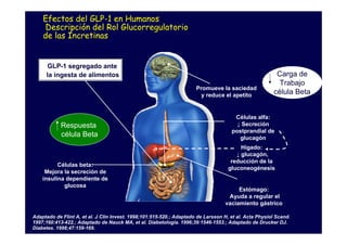 Efectos del GLP-1 en Humanos
     Descripción del Rol Glucorregulatorio
    de las Incretinas


      GLP-1 segregado ante
      la ingesta de alimentos                                                                            Carga de
                                                                                                          Trabajo
                                                                      Promueve la saciedad
                                                                        y reduce el apetito             célula Beta


                                                                                      Células alfa:
            Respuesta                                                                  ↓ Secreción
                                                                                     postprandial de
            célula Beta                                                                 glucagón
                                                                                         Hígado:
                                                                                       ↓ glucagón,
                                                                                     reducción de la
          Células beta:
                                                                                    gluconeogénesis
     Mejora la secreción de
    insulina dependiente de
            glucosa
                                                                                        Estómago:
                                                                                    Ayuda a regular el
                                                                                   vaciamiento gástrico

Adaptado de Flint A, et al. J Clin Invest. 1998;101:515-520.; Adaptado de Larsson H, et al. Acta Physiol Scand.
1997;160:413-422.; Adaptado de Nauck MA, et al. Diabetologia. 1996;39:1546-1553.; Adaptado de Drucker DJ.
Diabetes. 1998;47:159-169.
 