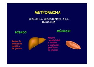 METFORMINA
             REDUCE LA RESISTENCIA A LA
                      INSULINA



   HÍGADO                         MÚSCULO

                         Mejora
                          sensibilidad
Reduce la
                         a insulina
producción
                         y captación
hepática
                         periférica
de glucosa
                         de glucosa
 