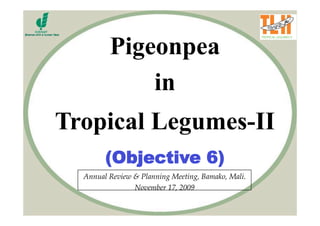 Pigeonpea
             in
Tropical Legumes-II
        (Objective 6)
  Annual Review & Planning Meeting, Bamako, Mali.
                November 17, 2009
 
