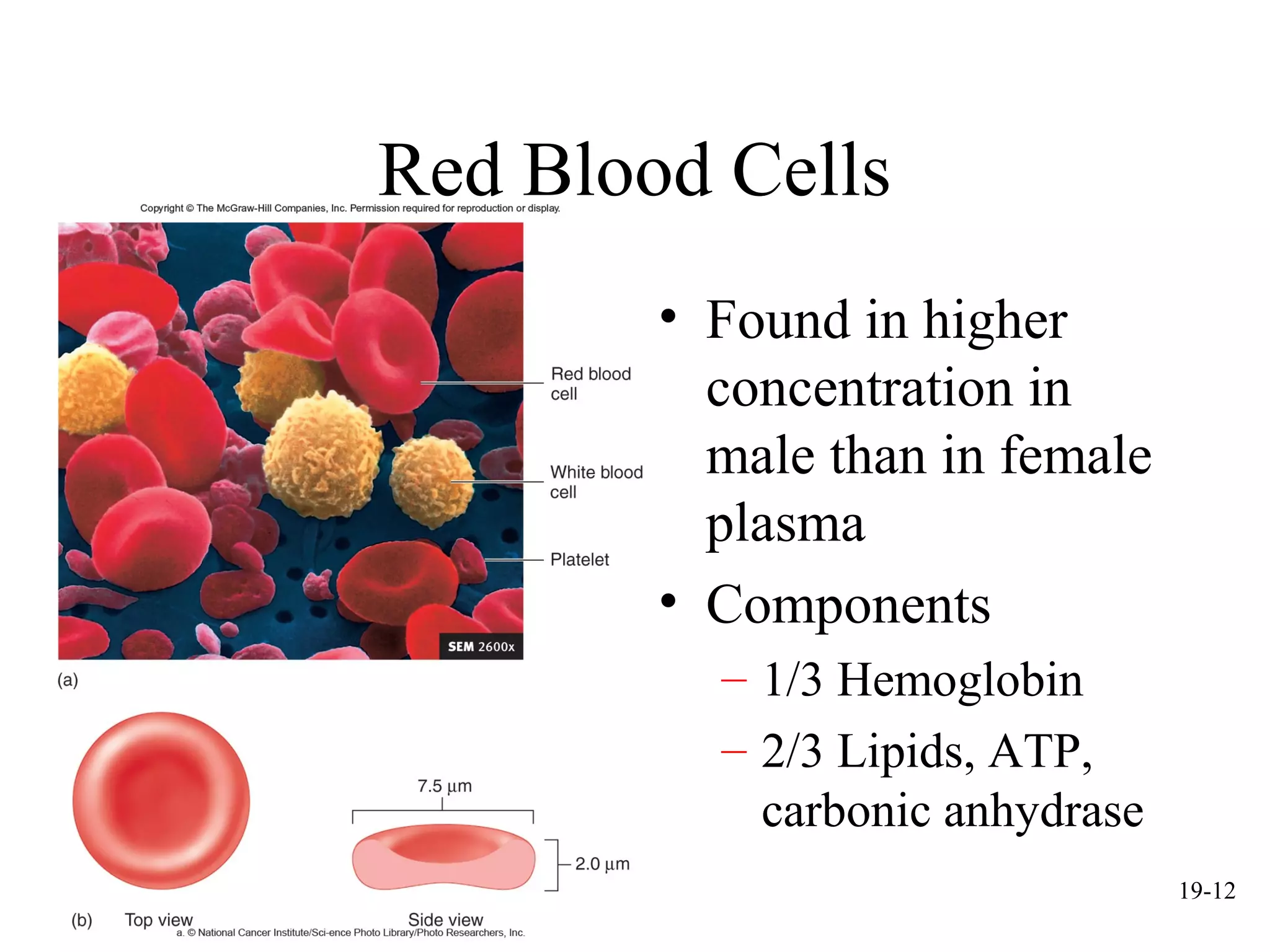 mcgraw hill chapter 19 blood power point | PPT