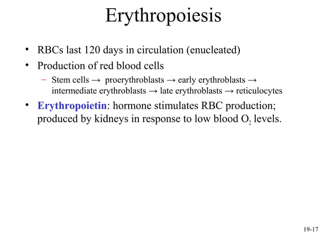 mcgraw hill chapter 19 blood power point | PPT