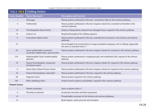mcgraw hill chapter 19 blood power point | PPT