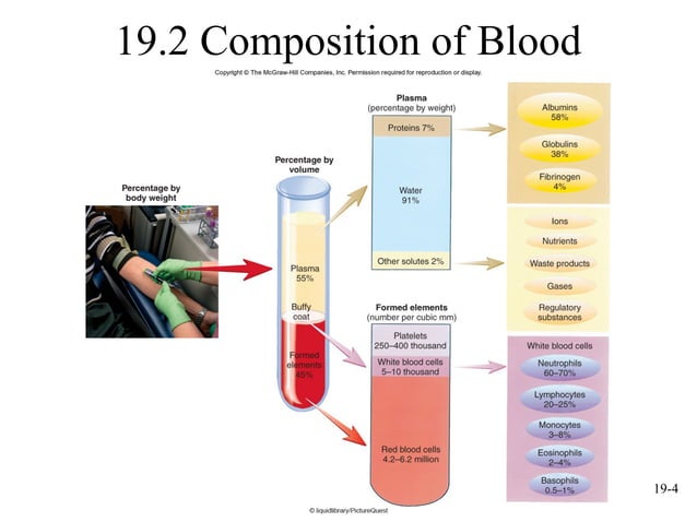mcgraw hill chapter 19 blood power point | PPT
