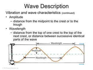 © 2010 Pearson Education, Inc.
Wave Description
Vibration and wave characteristics (continued)
• Amplitude
– distance from the midpoint to the crest or to the
trough
• Wavelength
– distance from the top of one crest to the top of the
next crest, or distance between successive identical
parts of the wave
 