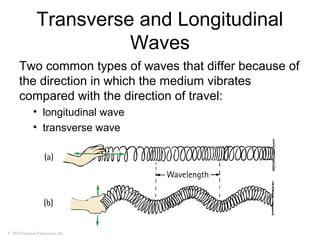 © 2010 Pearson Education, Inc.
Transverse and Longitudinal
Waves
Two common types of waves that differ because of
the direction in which the medium vibrates
compared with the direction of travel:
• longitudinal wave
• transverse wave
 