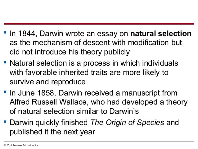 What Happened In The Process Of Natural Selection What Happened In The Process Of Natural Selection