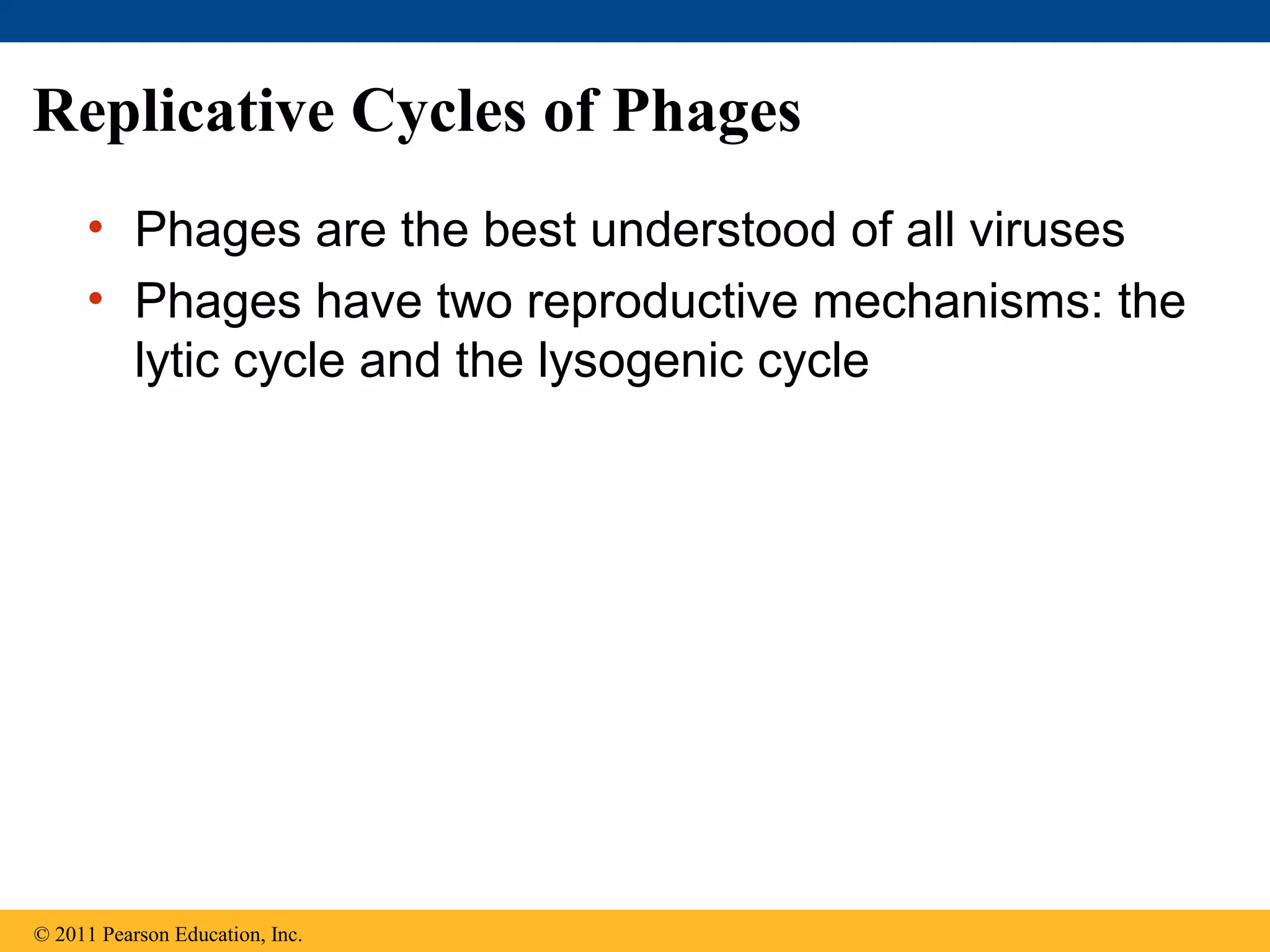 Replicative Cycles of Phages
• Phages are the best understood of all viruses
• Phages have two reproductive mechanisms: the
lytic cycle and the lysogenic cycle
© 2011 Pearson Education, Inc.
 