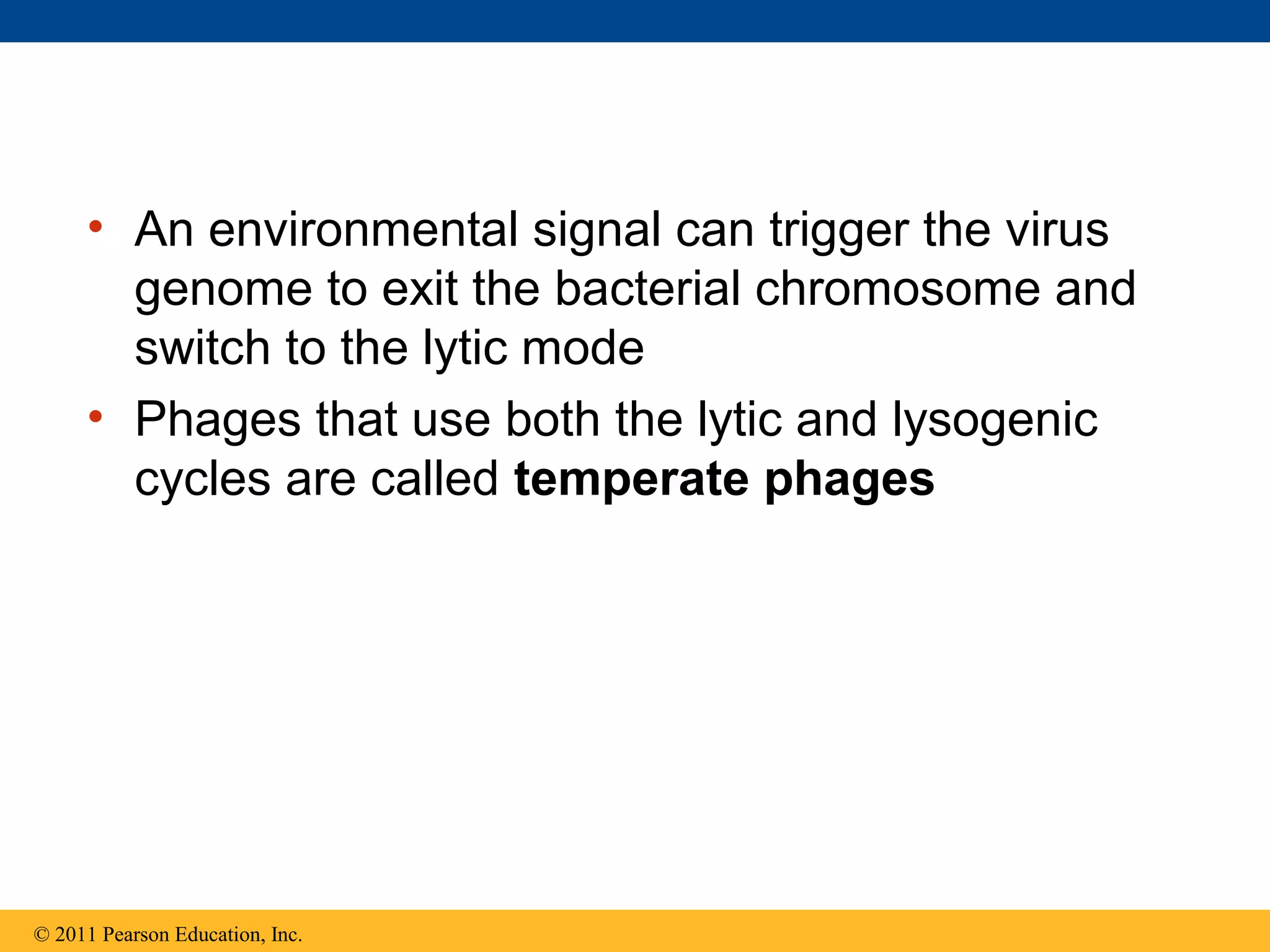• An environmental signal can trigger the virus
genome to exit the bacterial chromosome and
switch to the lytic mode
• Phages that use both the lytic and lysogenic
cycles are called temperate phages
© 2011 Pearson Education, Inc.
 