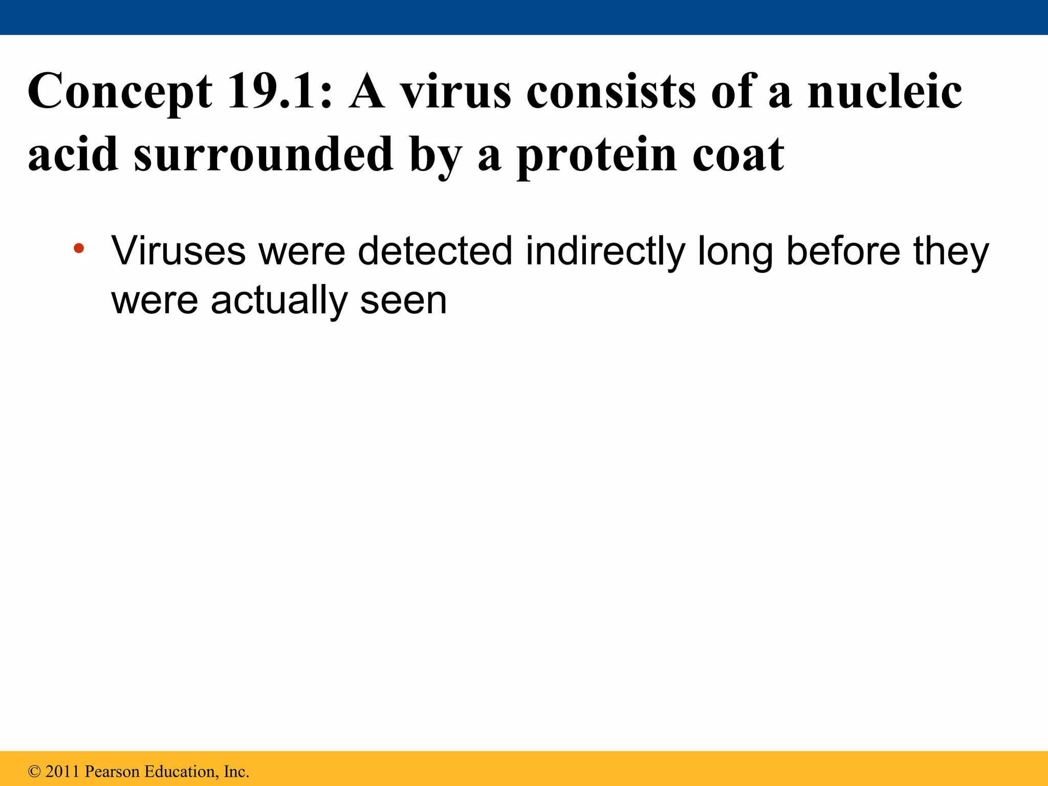 Concept 19.1: A virus consists of a nucleic
acid surrounded by a protein coat
• Viruses were detected indirectly long before they
were actually seen
© 2011 Pearson Education, Inc.
 