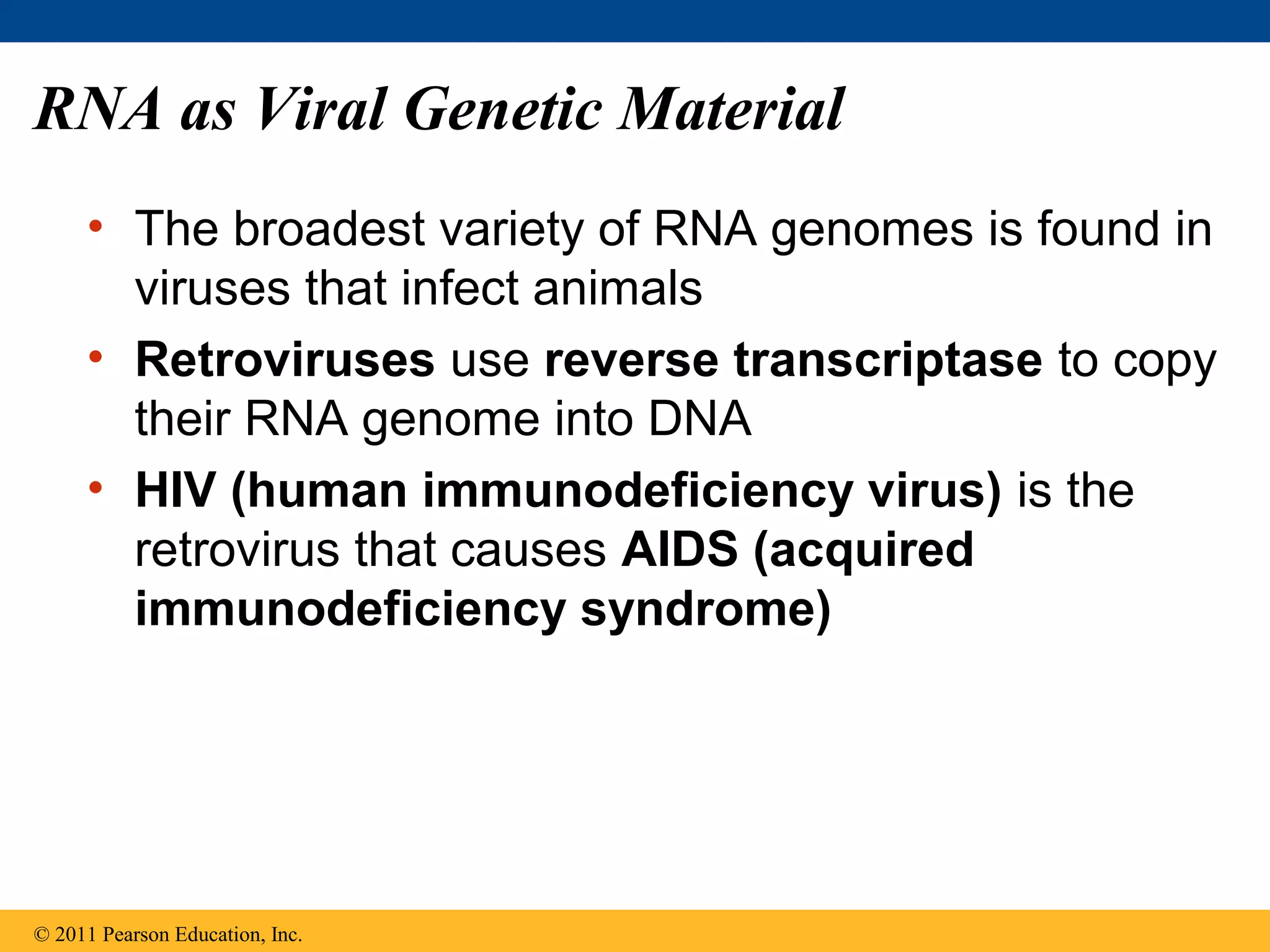 RNA as Viral Genetic Material
• The broadest variety of RNA genomes is found in
viruses that infect animals
• Retroviruses use reverse transcriptase to copy
their RNA genome into DNA
• HIV (human immunodeficiency virus) is the
retrovirus that causes AIDS (acquired
immunodeficiency syndrome)
© 2011 Pearson Education, Inc.
 