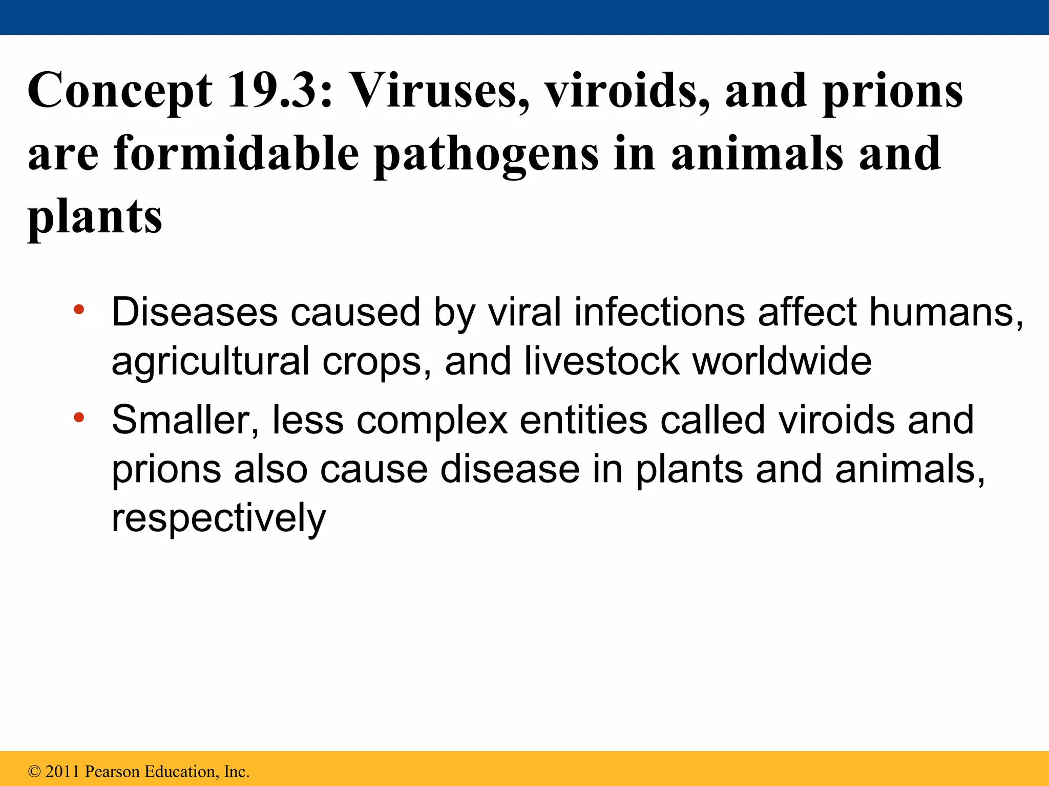 Concept 19.3: Viruses, viroids, and prions
are formidable pathogens in animals and
plants
• Diseases caused by viral infections affect humans,
agricultural crops, and livestock worldwide
• Smaller, less complex entities called viroids and
prions also cause disease in plants and animals,
respectively
© 2011 Pearson Education, Inc.
 