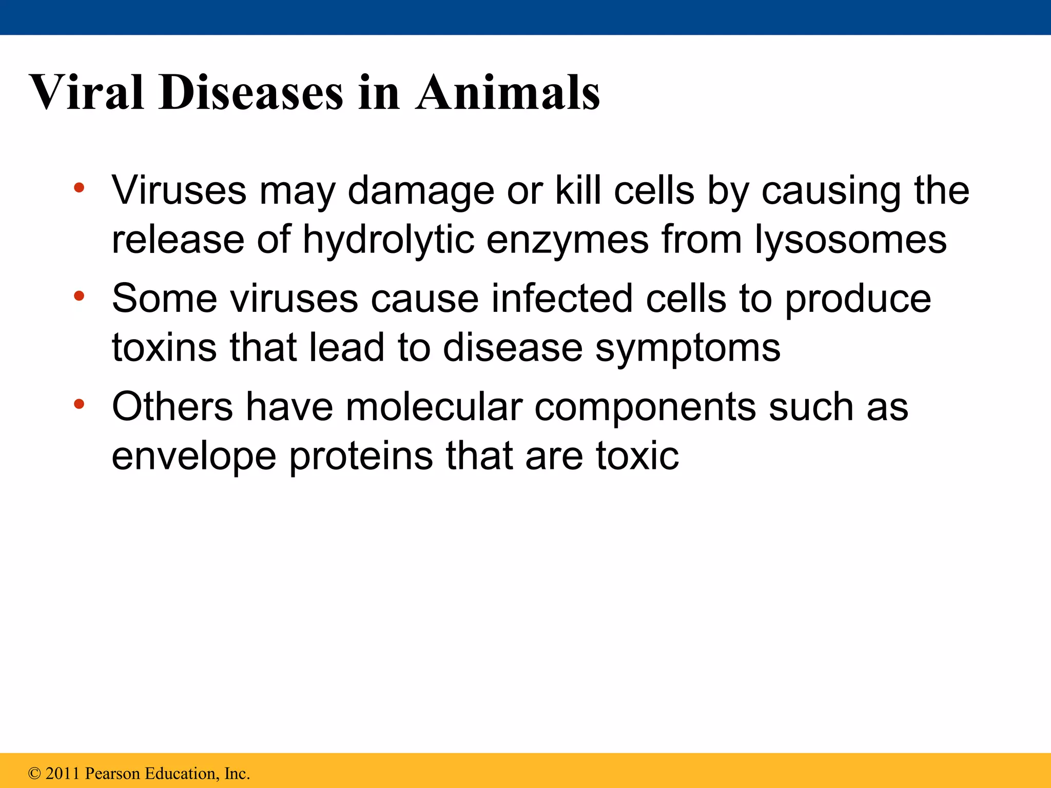 Viral Diseases in Animals
• Viruses may damage or kill cells by causing the
release of hydrolytic enzymes from lysosomes
• Some viruses cause infected cells to produce
toxins that lead to disease symptoms
• Others have molecular components such as
envelope proteins that are toxic
© 2011 Pearson Education, Inc.
 