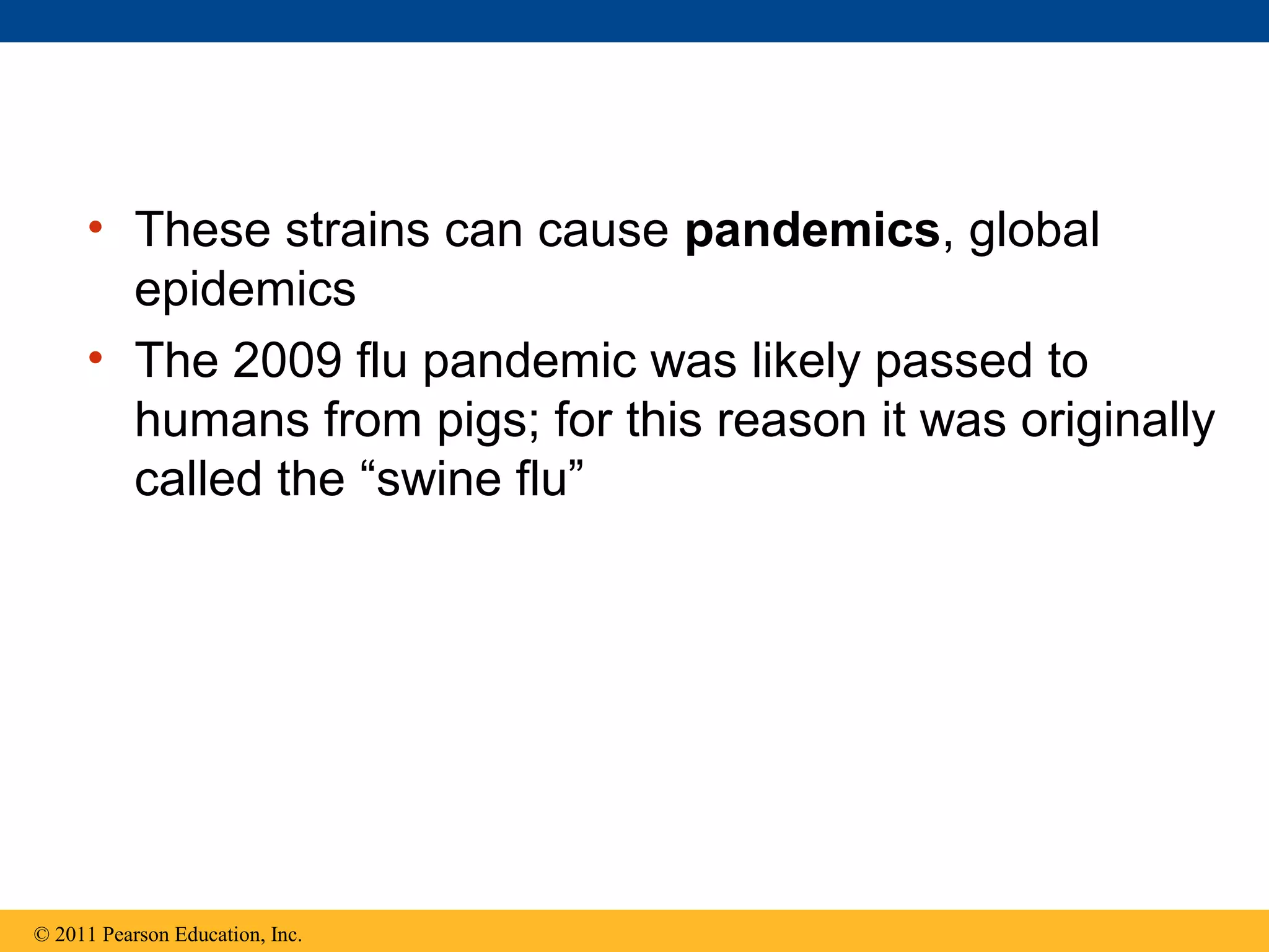 • These strains can cause pandemics, global
epidemics
• The 2009 flu pandemic was likely passed to
humans from pigs; for this reason it was originally
called the “swine flu”
© 2011 Pearson Education, Inc.
 