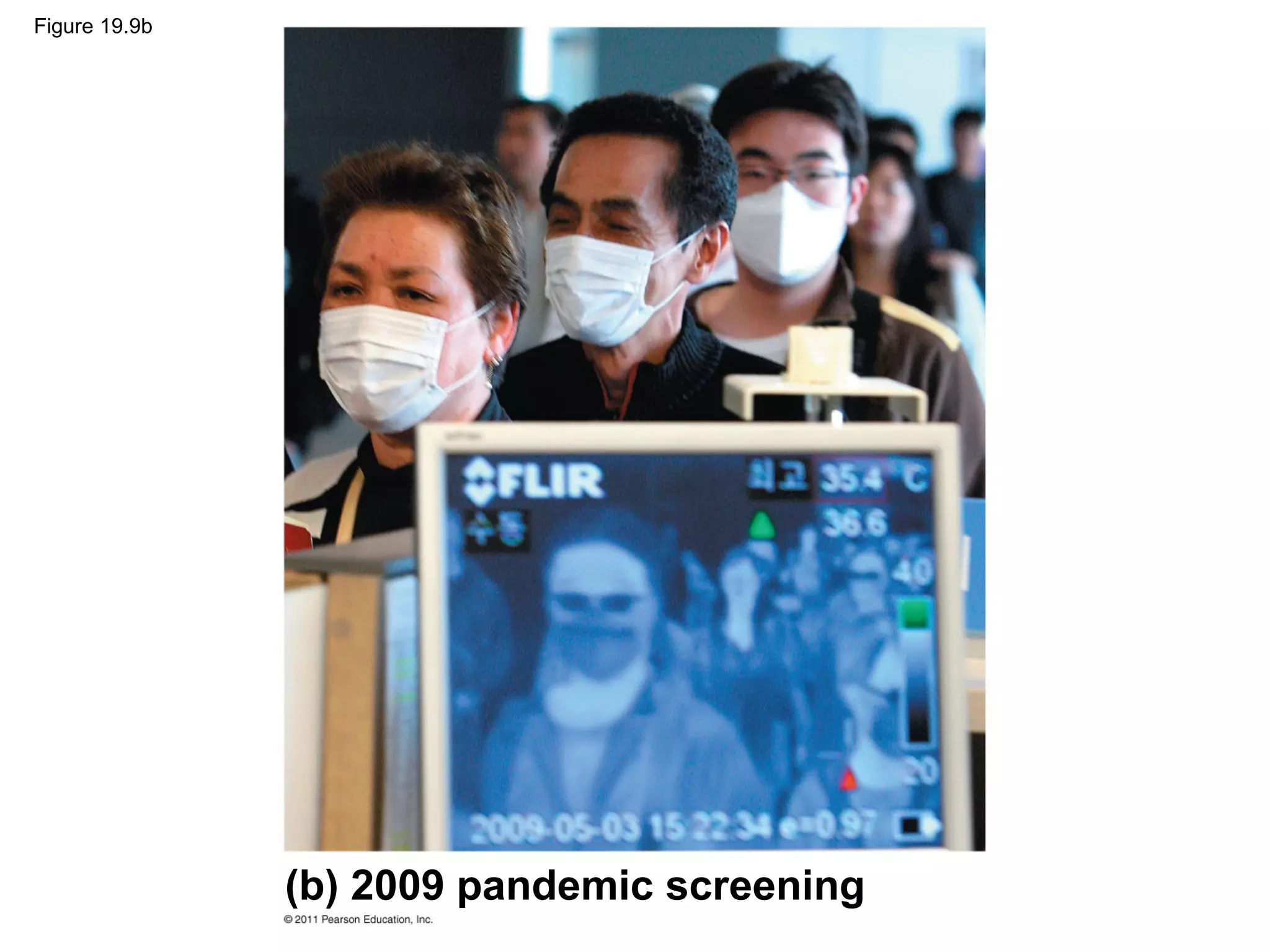 Figure 19.9b
(b) 2009 pandemic screening
 