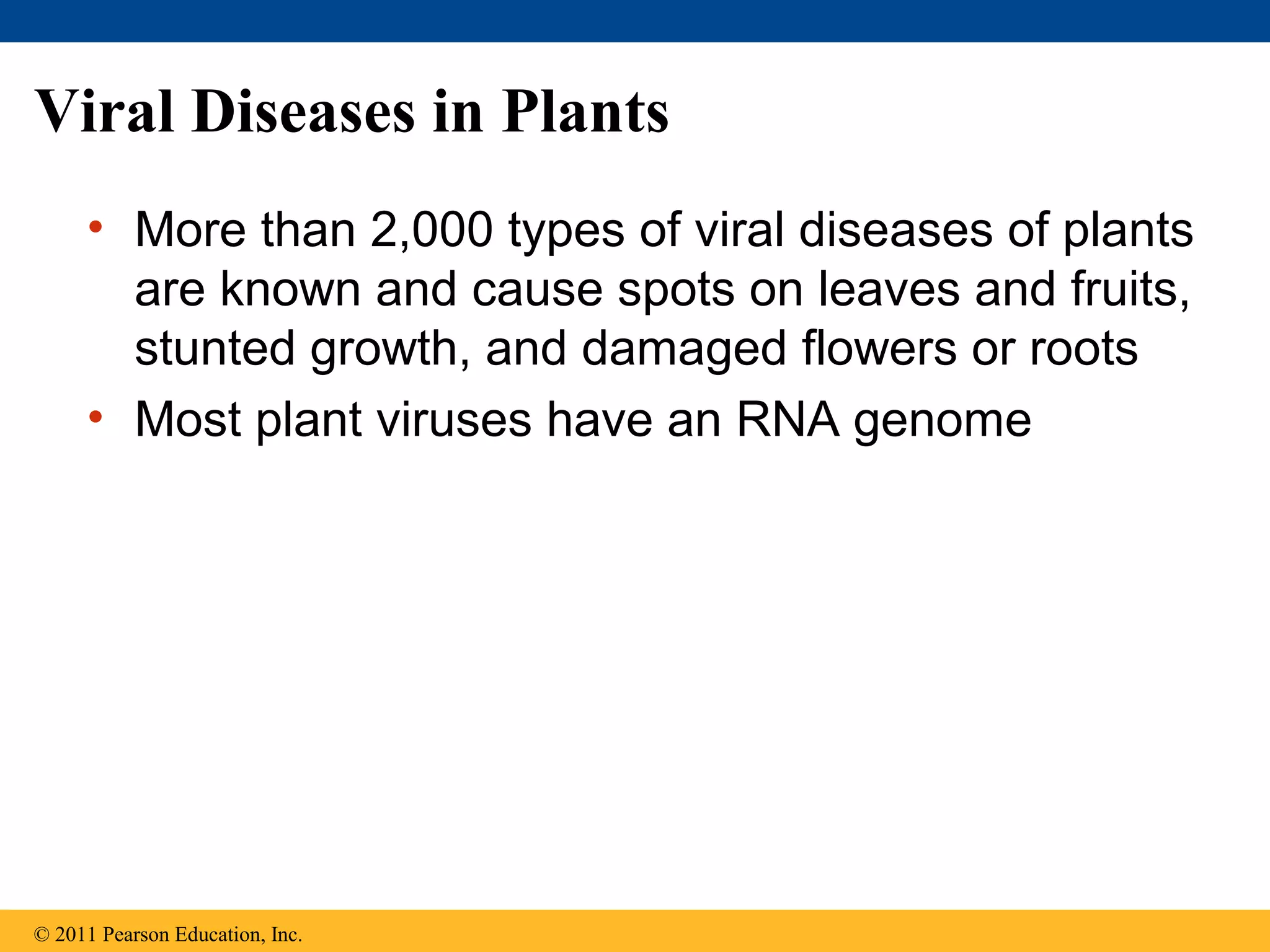Viral Diseases in Plants
• More than 2,000 types of viral diseases of plants
are known and cause spots on leaves and fruits,
stunted growth, and damaged flowers or roots
• Most plant viruses have an RNA genome
© 2011 Pearson Education, Inc.
 
