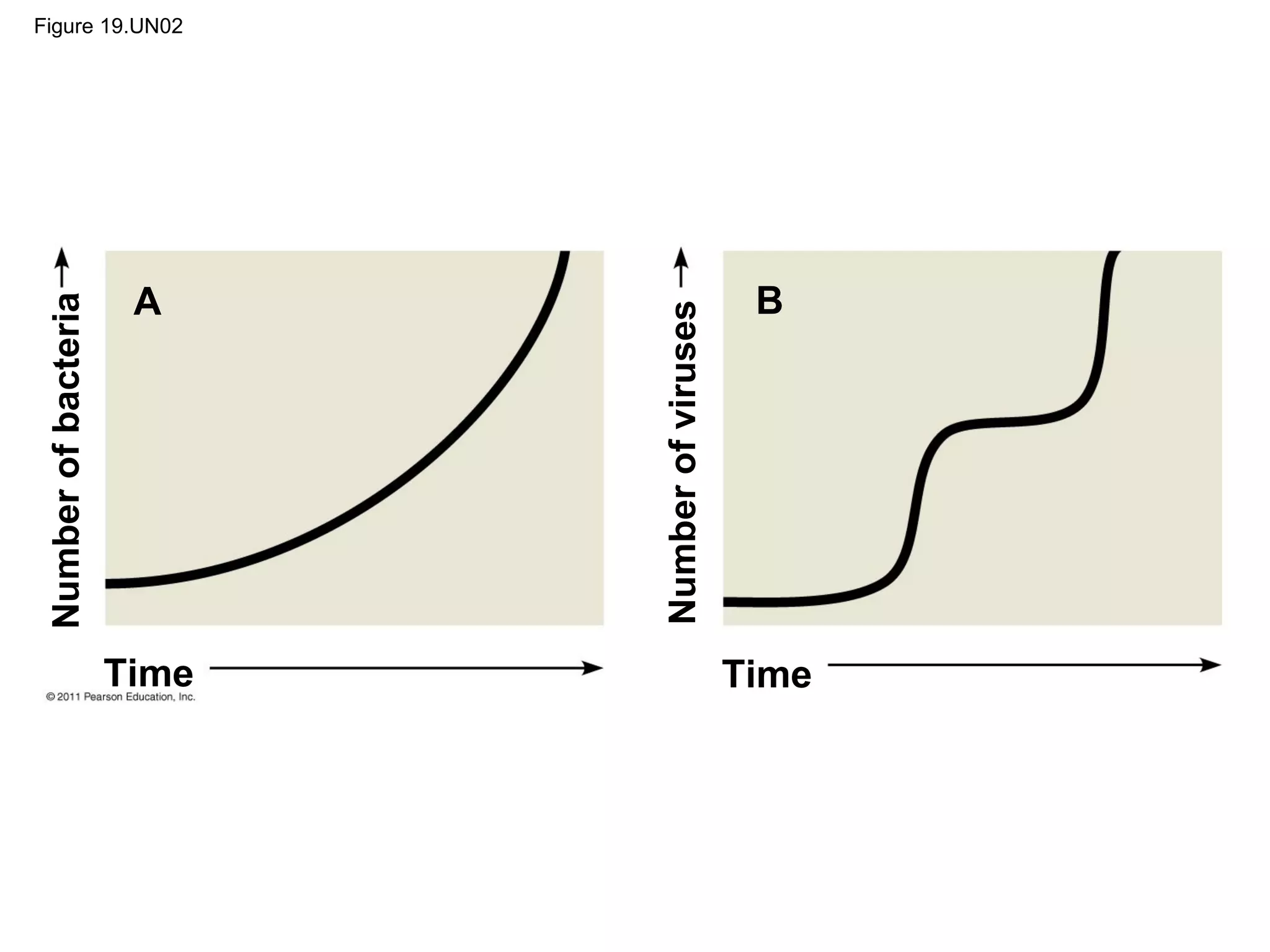Figure 19.UN02
Time Time
A B
Numberofbacteria
Numberofviruses
 