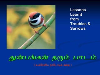 Lessons  Learnt  from  Troubles & Sorrows 