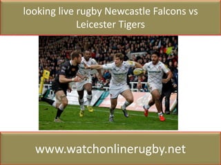 looking live rugby Newcastle Falcons vs
Leicester Tigers
www.watchonlinerugby.net
 