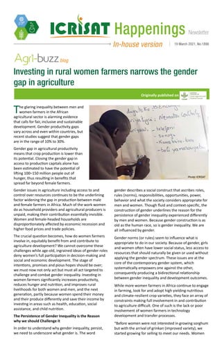 Newsletter
Happenings
In-house version 19 March 2021, No.1898
Investing in rural women farmers narrows the gender
gap in agriculture
blog
Originally published on
The glaring inequality between men and
women farmers in the African
agricultural sector is alarming evidence
that calls for fair, inclusive and sustainable
development. Gender productivity gaps
vary across and even within countries, but
recent studies suggest that gender gaps
are in the range of 10% to 30%.
Gender gap in agricultural productivity
means that crop production is lower than
its potential. Closing the gender gap in
access to production capitals alone has
been estimated to have the potential of
lifting 100–150 million people out of
hunger, thus resulting in benefits that
spread far beyond female farmers.
Gender issues in agriculture including access to and
control over resources continues to be the underlining
factor widening the gap in production between male
and female farmers in Africa. Much of the work women
do as household providers and agricultural producers is
unpaid, making their contribution essentially invisible.
Women and female-headed households are
disproportionately affected by economic recession and
higher food prices and trade policies.
The crucial question becomes, how do women farmers
involve in, equitably benefit from and contribute to
agriculture development? We cannot overcome these
challenges while age-old, ingrained ideas of gender roles
deny women’s full participation in decision-making and
social and economic development. The stage of
intentions, promises and pious hopes should be over;
we must now not only act but must all act targeted to
challenge and combat gender inequality. Investing in
women farmers significantly increases productivity,
reduces hunger and nutrition, and improves rural
livelihoods for both women and men, and the next
generation, partly because women spend their money
and their produce differently and save their income by
investing in areas such as health, education, social
assistance, and child nutrition.
The Persistence of Gender Inequality is the Reason
why we should Challenge it
In order to understand why gender inequality, persist,
we need to underscore what gender is. The word
gender describes a social construct that ascribes roles,
rules (norms), responsibilities, opportunities, power,
behavior and what the society considers appropriate for
men and women. Though fluid and context-specific, the
construction of gender underlines the reason for the
persistence of gender inequality experienced differently
by men and women. Because gender construction is as
old as the human race, so is gender inequality. We are
all influenced by gender.
Gender norms (or rules) seem to influence what is
appropriate to do in our society. Because of gender, girls
and women often have lower social status, less access to
resources that should naturally be given or used without
applying the gender spectrum. These issues are at the
core of the contemporary gender system, which
systematically empowers one against the other,
consequently producing a bidirectional relationship
between gender inequality and development outcomes.
While more women farmers in Africa continue to engage
in farming, look for and adopt high yielding nutritious
and climate-resilient crop varieties, they face an array of
constraints making full involvement in and contribution
to agriculture difficult. One of such is the lack or poor
involvement of women farmers in technology
development and transfer processes.
“Before women were not interested in growing sorghum
but with the arrival of grinkan (improved variety), we
started growing for selling to meet our needs. Women
Photo: ICRISAT
 