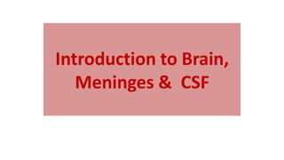 Introduction to Brain,
Meninges & CSF
 