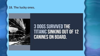 18. The lucky ones.
 