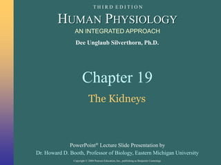 Copyright © 2004 Pearson Education, Inc., publishing as Benjamin Cummings
Dee Unglaub Silverthorn, Ph.D.
HUMAN PHYSIOLOGY
PowerPoint® Lecture Slide Presentation by
Dr. Howard D. Booth, Professor of Biology, Eastern Michigan University
AN INTEGRATED APPROACH
T H I R D E D I T I O N
Chapter 19
The Kidneys
 