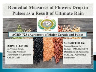 SUBMITTED TO:
Dr. Vikram Singh
Associate Professor
Department of Agronomy
NAI,SHUATS
SUBMITTED BY:
Suman Kumar Dey
Id. No: 19MSAGRO070
Department of Agronomy
M.Sc. Ag.(Agronomy)
II semester
AGRN 723 : Agronomy of Major Cereals and Pulses
1
 